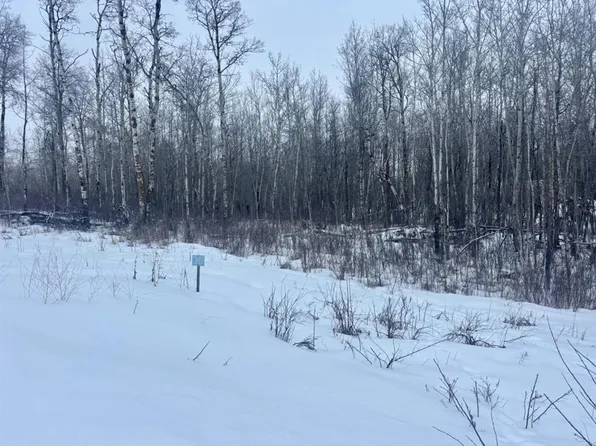 204 Range Rural Beaver #26, 50220 County, AB T0B 4J2
