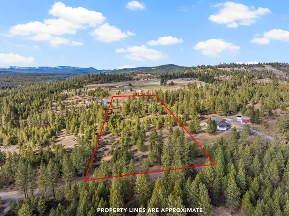 64XX E Owens Rd, Chattaroy, WA 99003
