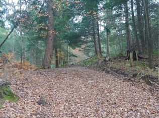 0 Hurlburt Rd N #32, Forestville, NY 14062