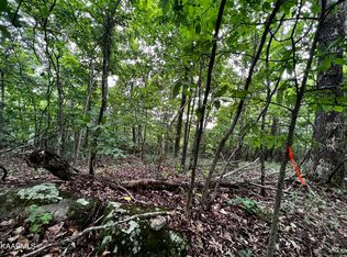 212 Clinch View Rd, New Tazewell, TN 37825