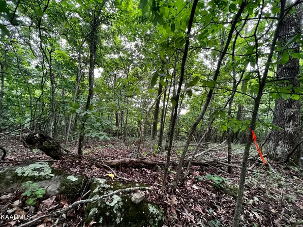 212 Clinch View Rd, New Tazewell, TN 37825