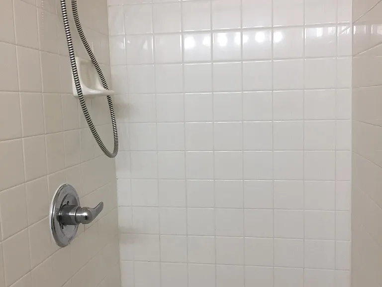 Master Shower