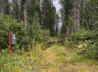 38131 S Kalispell Dr, Talkeetna, AK 99676