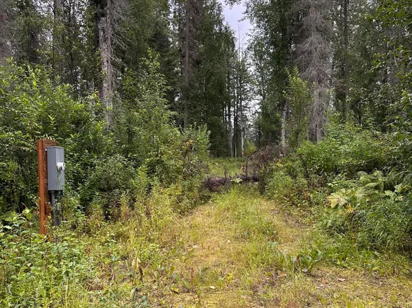 38131 S Kalispell Dr, Talkeetna, AK 99676