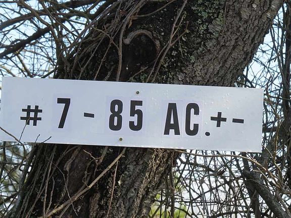 2nd image of 0 Beaver St
