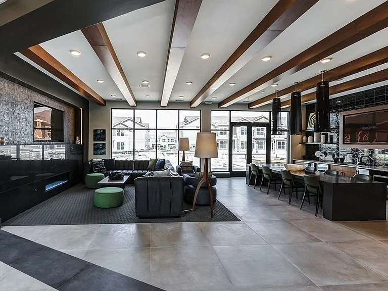Icon Apartment Homes at Ferguson Farm — Photo 19