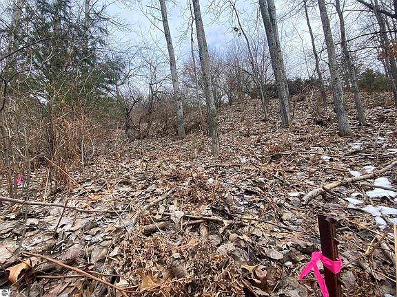 2nd image of LOT 38 Kirkridge Dr