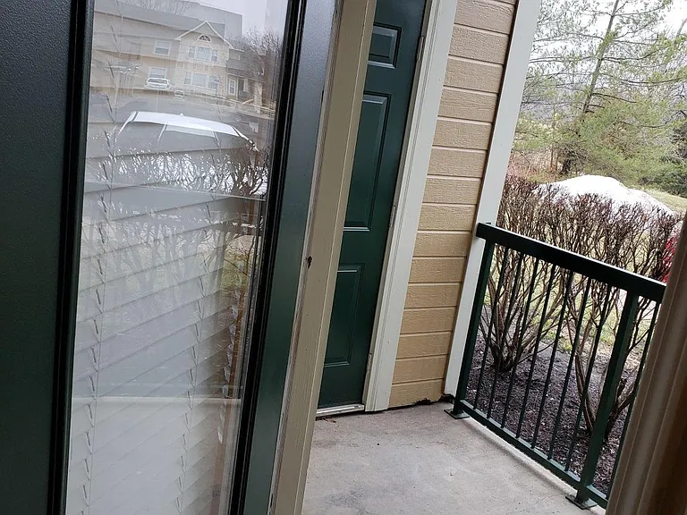 Pinnacle Woods — Photo 27
