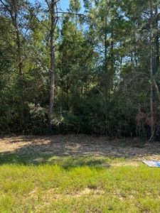 0 Rainbird Rise Rd, Crestview, FL, 32539