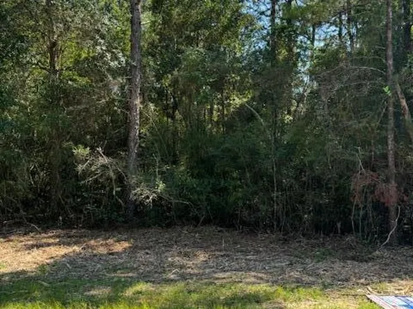 0 Rainbird Rise Rd, Crestview, FL 32539