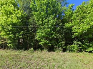 Central Ter SW LOT 7, Fort White, FL 32038