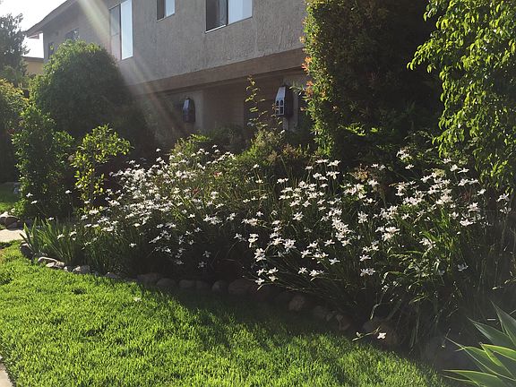 3rd image of 18545 Burbank Blvd APT 6