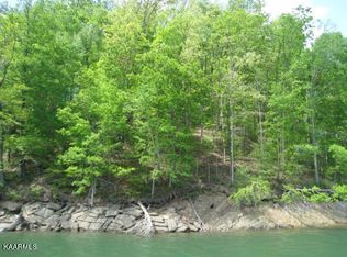Driftwood Ct, New Tazewell, TN 37825