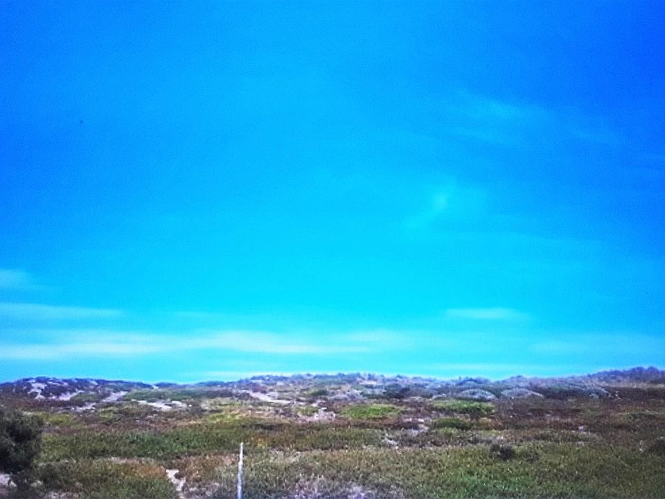 Sand Dunes Greenery Across From Apartment