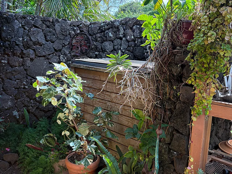 Outdoor Potting area