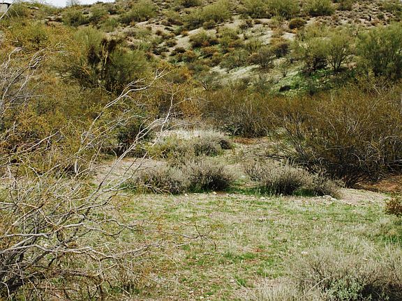 5th image of 00000 N White Face Canyon Drive #7