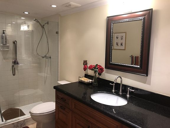 Guest Shower
