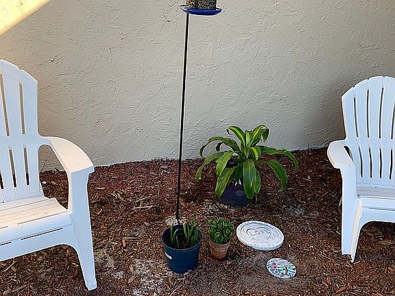 Front yard area