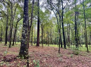 Robinson Rd LOT 3, Canton, MS 39046