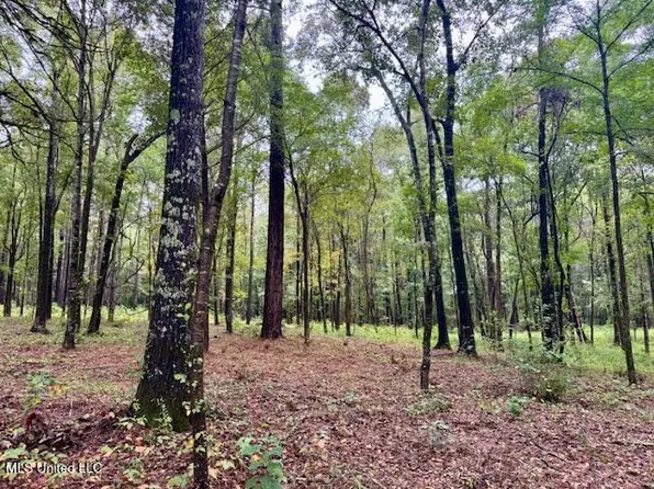 Robinson Rd Lot 3, Canton, MS 39046