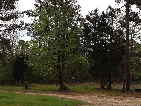 Mature trees on the property