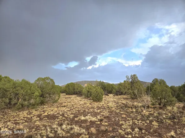 9 Pinon Valley Rnch, Concho, AZ 85924