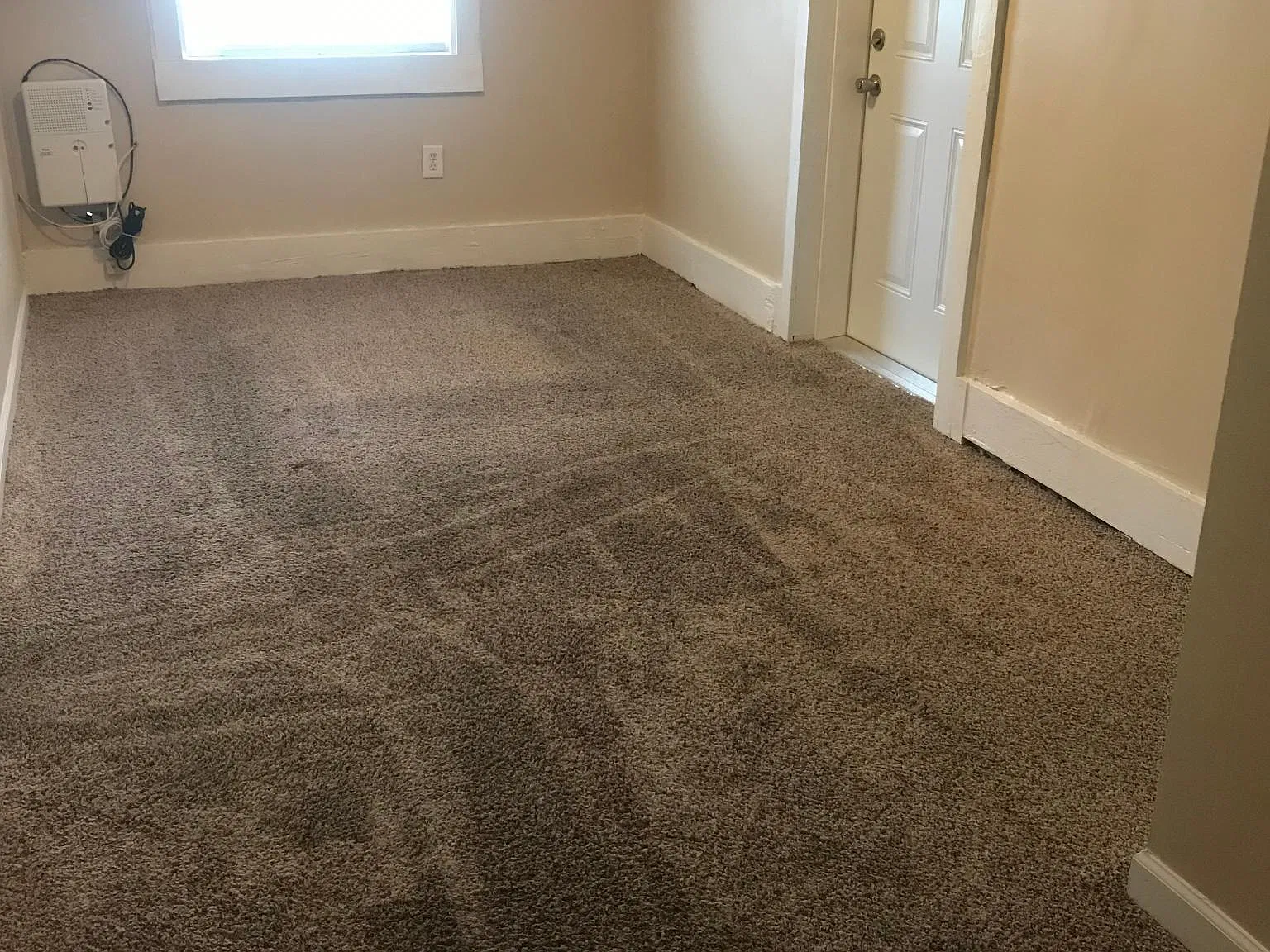 1 bed, 800 sqft, $1,100 — Photo 3