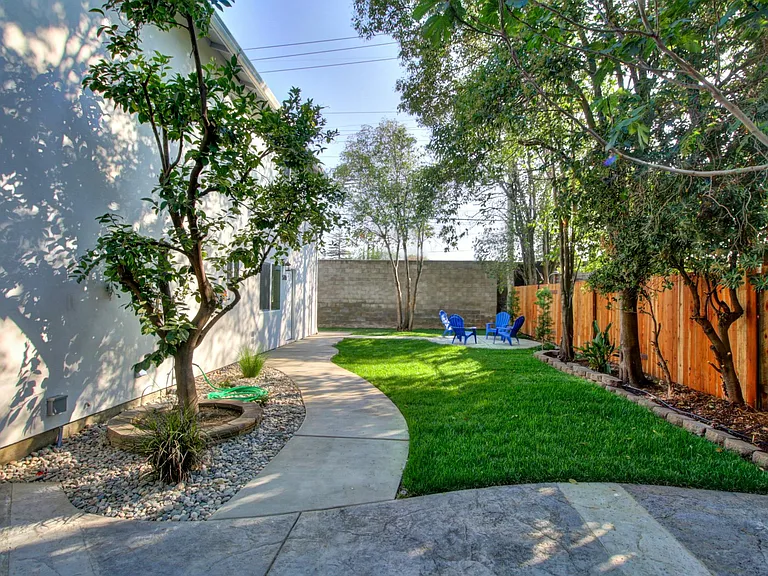 backyard view 1