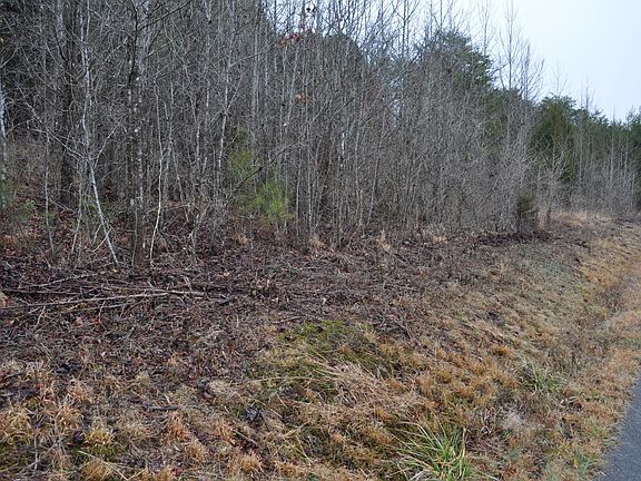4th image of 429 Worthington Springs Dr