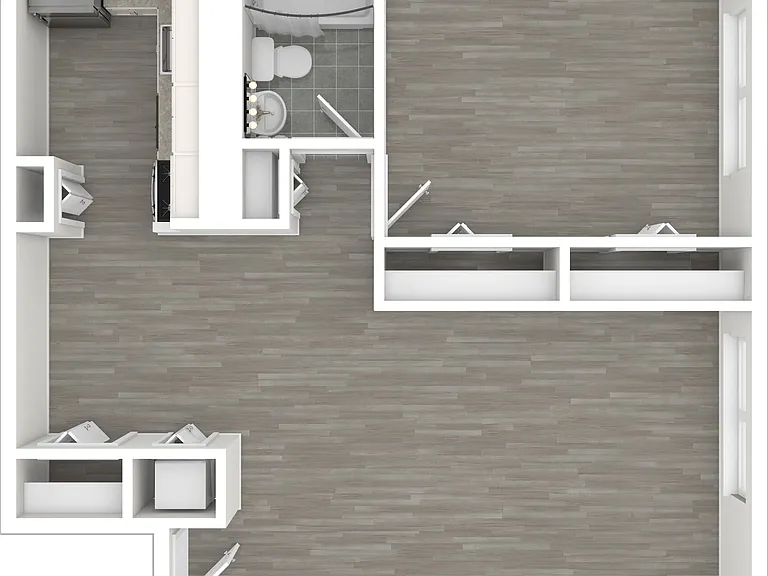 1x1 C - 610 sq ft, with large living area