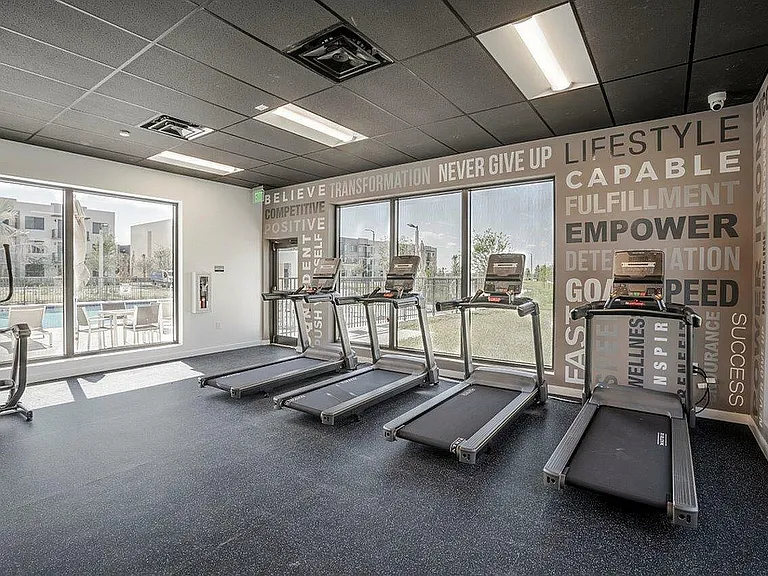 Cardio Machines with a View