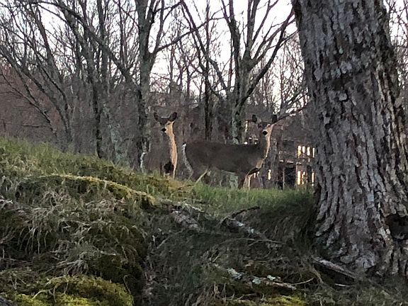 5th image of 116 Fairway Dr