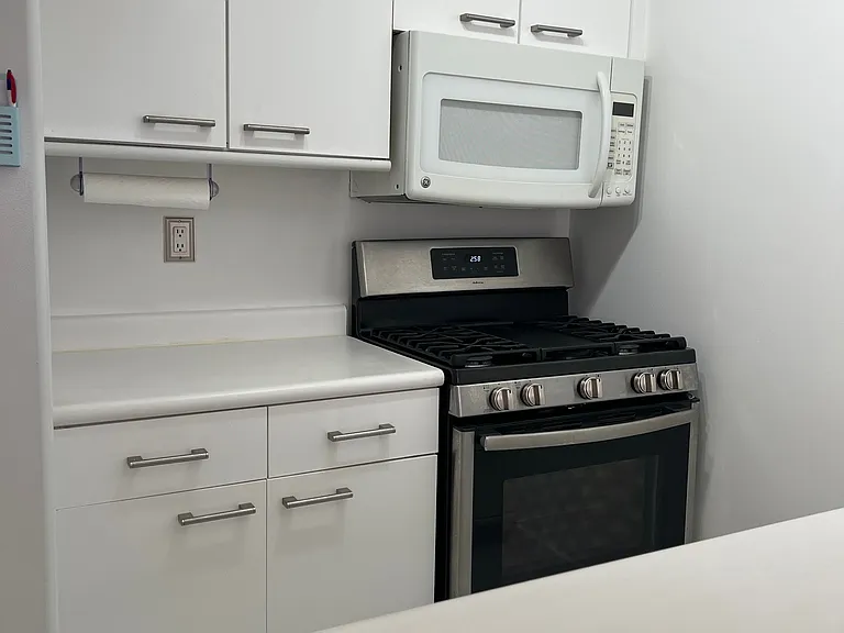 393 W 49th St #4F — Photo 4