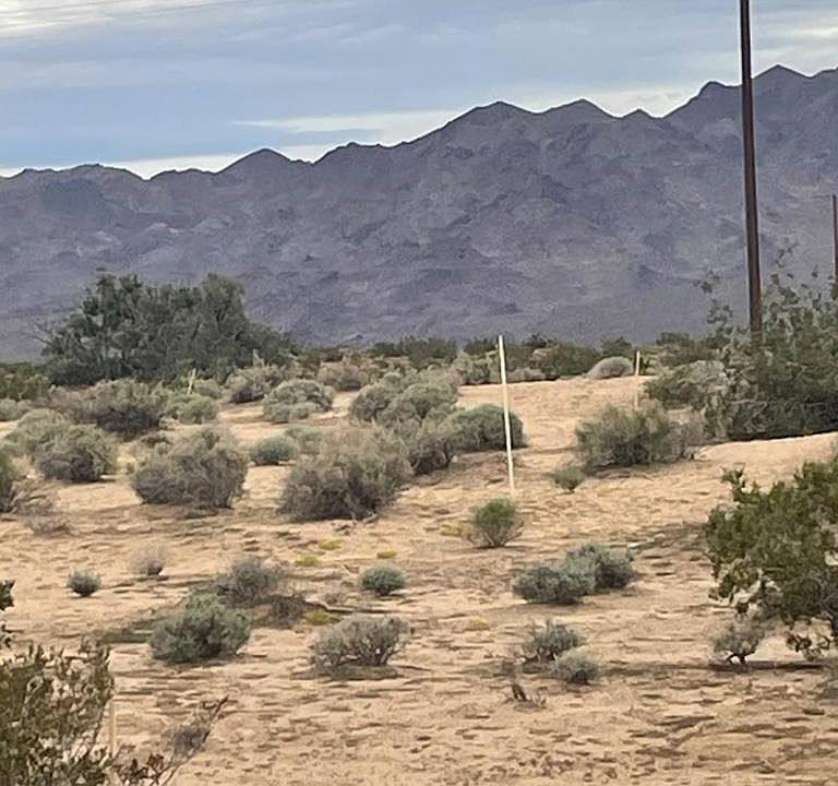 1st image of Summerset Rd