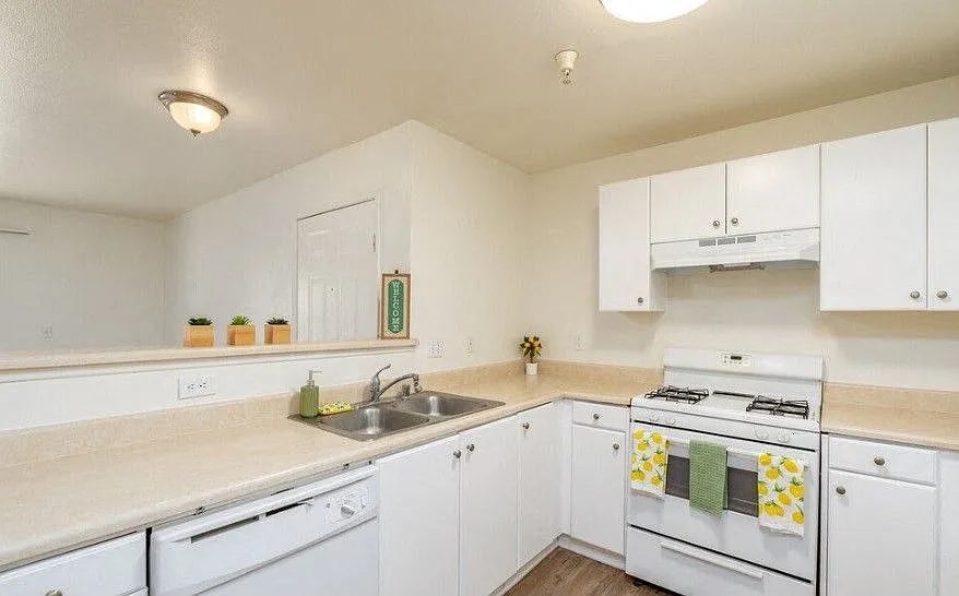 Twin Palm Apartments — Photo 2
