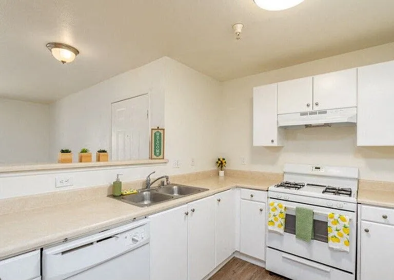 Twin Palm Apartments — Photo 2