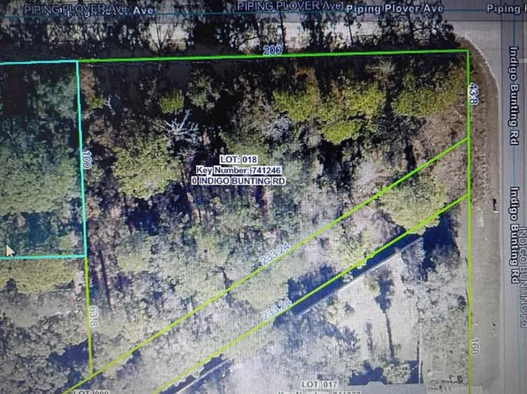 12449 Indigo Bunting Rd, Weeki Wachee, FL 34614