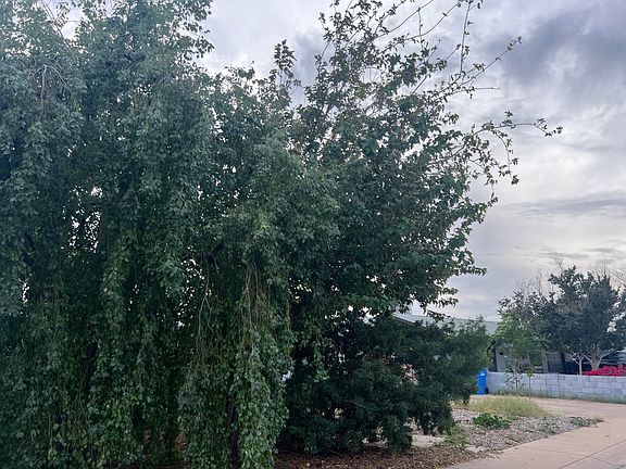 3rd image of 2023 W Corrine Dr