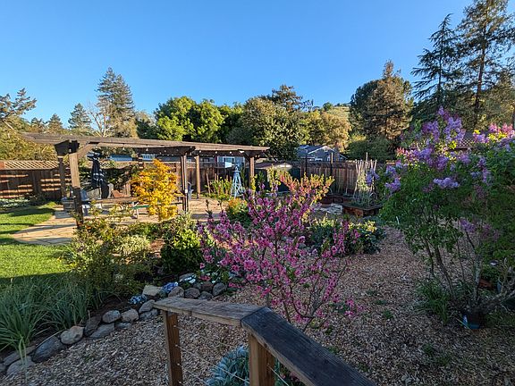 Backyard view from glass kitchen door - peach, nectarine and lilac all in bloom this spring
