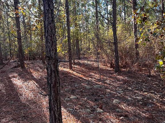 3rd image of Ppf 18 Payne Pond Rd #Ppf-18