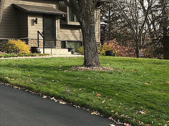Fall picture 