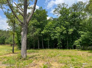 Silverleaf Dr, Madison, MS 39110