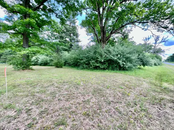 4456 N Evergreen Dr, White Cloud, MI 49349