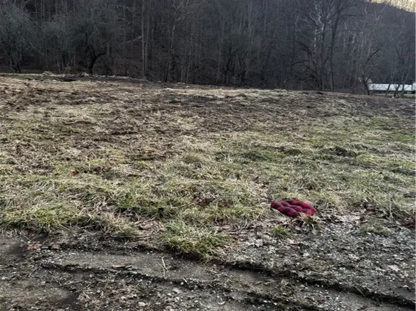 1696 Limestone Branch Rd, Harts, WV 25524