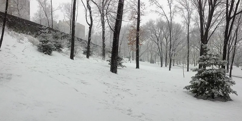 Rented by Immac Realty | media 30