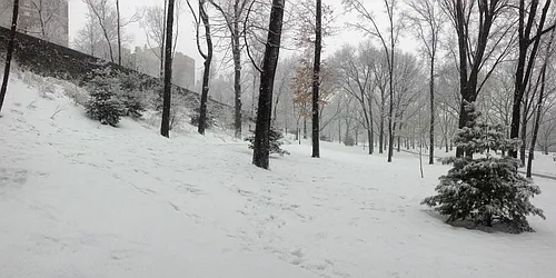 Rented by Immac Realty