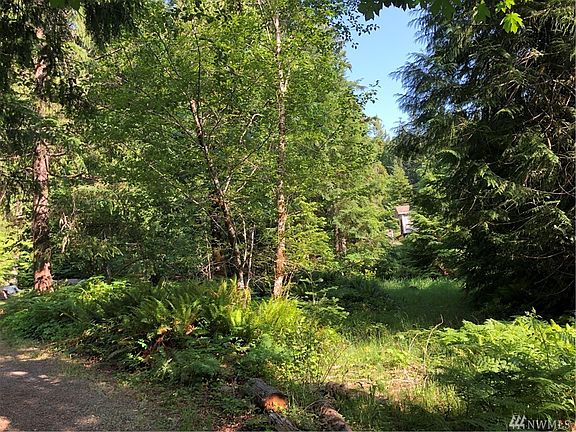 5th image of 118 Deer Park Ln