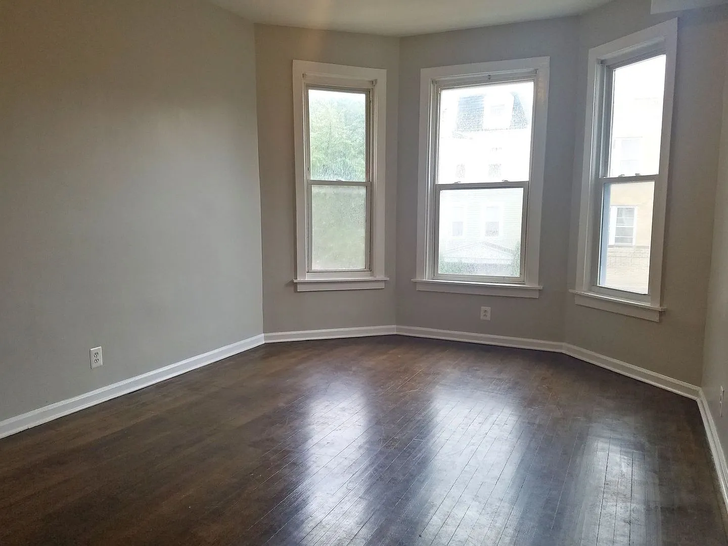 2308 Mango ALBANY — Photo 4