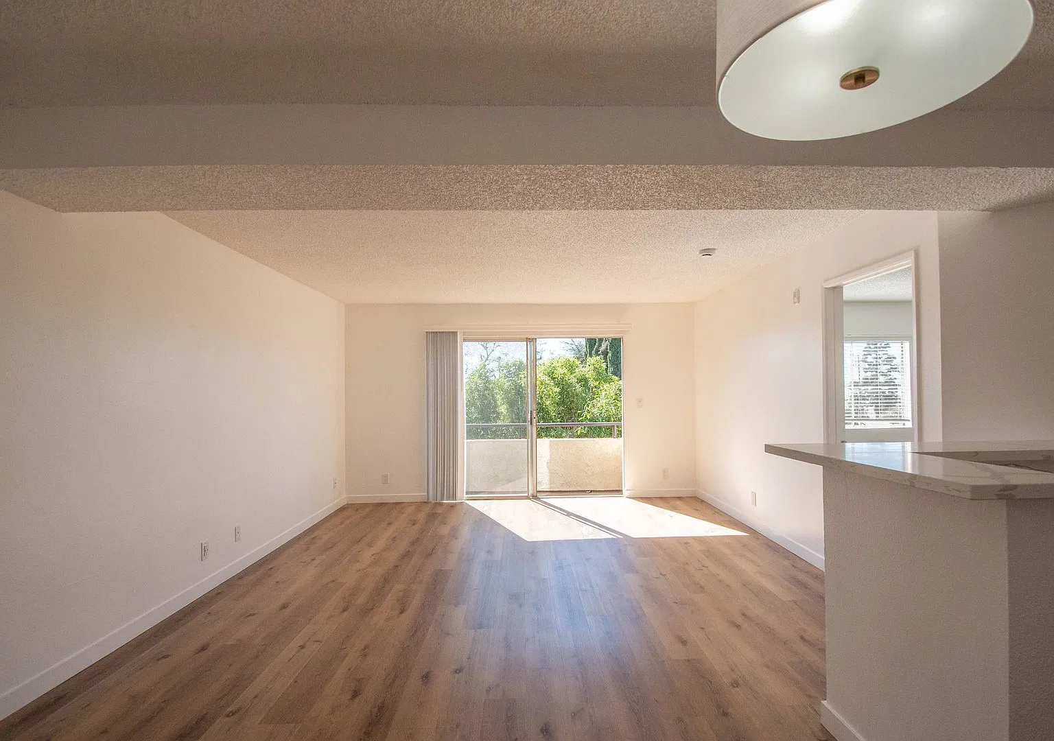 21350 — Photo 2
