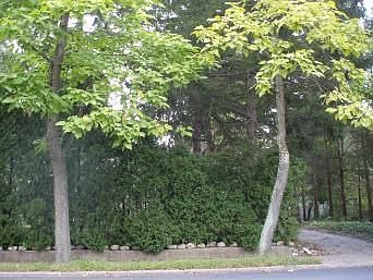 FRONT CIRCULAR DRIVE